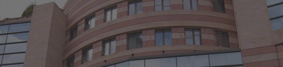 Commercial window tinting