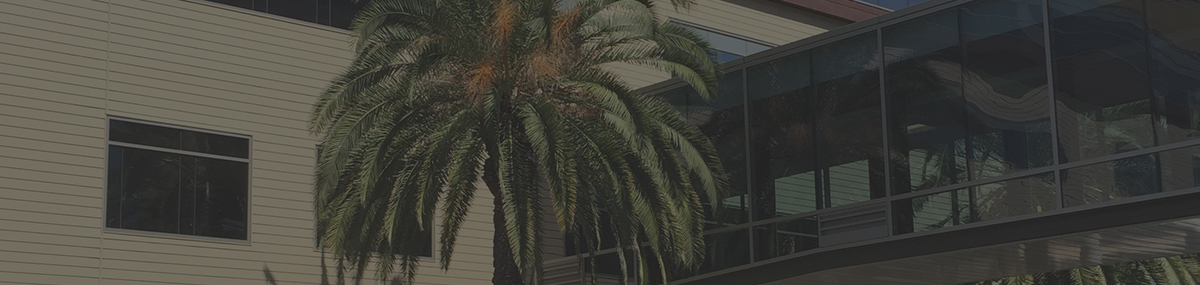 Business Window Tint